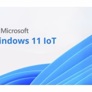 Microsoft Windows 11 IOT Enterprise Multi Language OLC