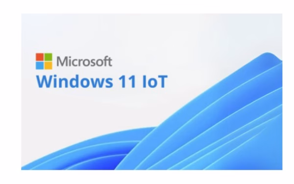 Microsoft Windows 11 IOT Enterprise Multi Language OLC