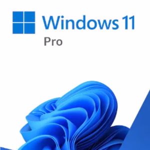 Microsoft Windows 11 Professional Retail 64