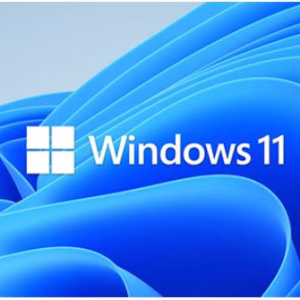Microsoft Windows 11 Professional for Workstation 64 BIT