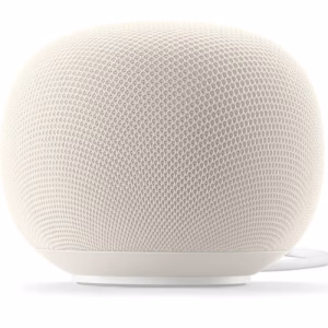 Google Home Speaker Porcelain